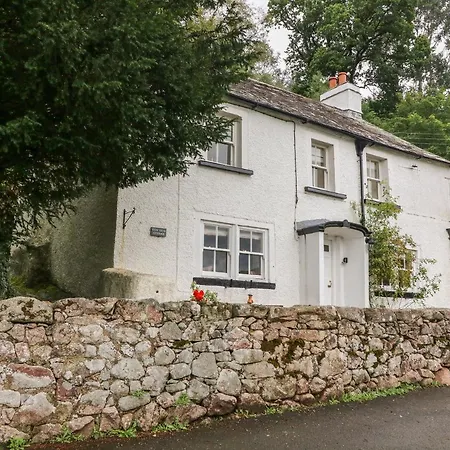 Yew Tree *